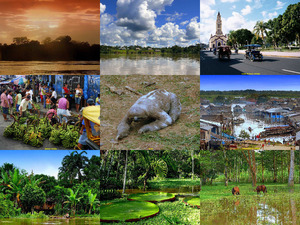 Amazonas