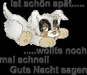 Ist schon spaet