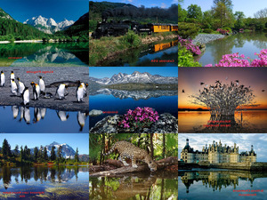 die Natur im Spiegelbild