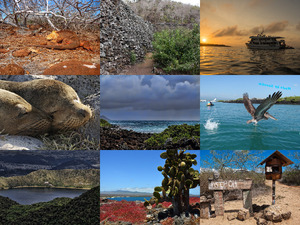 klicke hier, um die Datei herunterzuladen Galapagos 3