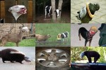 . auf www.funpot.net