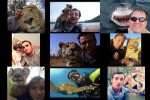 Selfies-Human-Animals.pps auf www.funpot.net