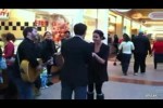 der-Heiratsantrag.wmv auf www.funpot.net