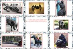 Autoreifen1.pps auf www.funpot.net