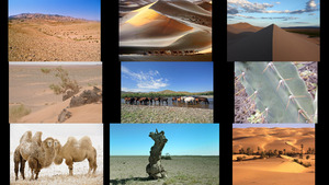 klicke hier, um die Datei herunterzuladen Gobi 1
