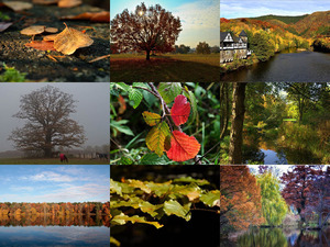 klicke hier, um die Datei herunterzuladen HERBST 20