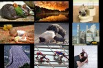 diverse-Bildchen.pps auf www.funpot.net