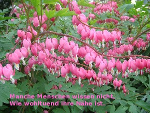 klicke hier, um die Datei herunterzuladen Wertvolle Menschen