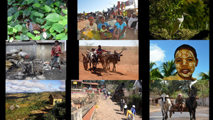 klicke hier, um die Datei herunterzuladen Madagaskar 2