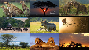 Kenia