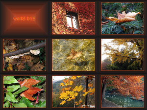 klicke hier, um die Datei herunterzuladen Falling Leaves B