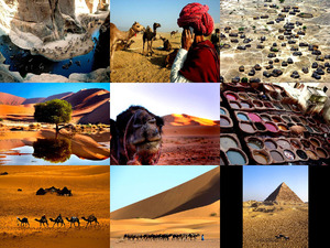 klicke hier, um die Datei herunterzuladen die Sahara