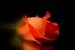 Zum-Valentinstag.pps auf www.funpot.net
