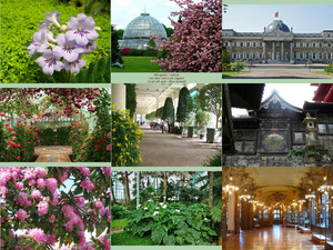 klicke hier, um die Datei herunterzuladen Conservatory royal in Belgium