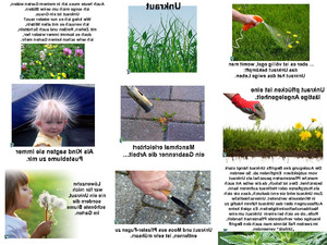 klicke hier, um die Datei herunterzuladen Unkraut