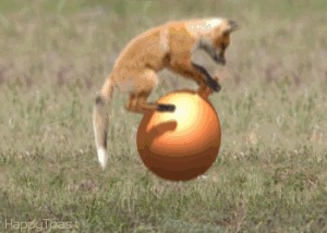 H�pfball