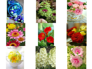 Beautiful Blumen