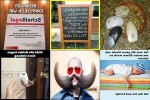 . auf www.funpot.net