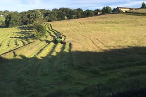 Rasen m�hen im Zeitraffer