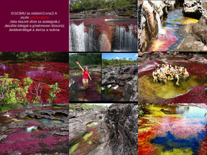 Cano Cristales-Kristallfluss