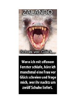 Bilder 01