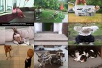 . auf www.funpot.net