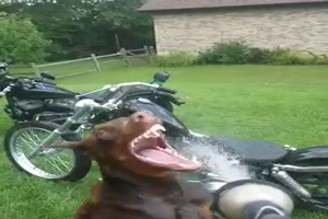 ich muss da einfach reinbei�en