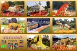 Kürbisfeste.ppsx auf www.funpot.net
