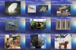 Moderne-Regenschirme.pps auf www.funpot.net