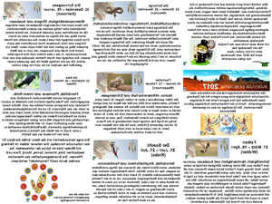 Indianer Horoskop