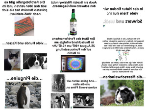 klicke hier, um die Datei herunterzuladen 6. Redensart Alles nur Schwarz oder weiss sehen neu