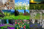 Frühling---Lente-23.ppsx auf www.funpot.net
