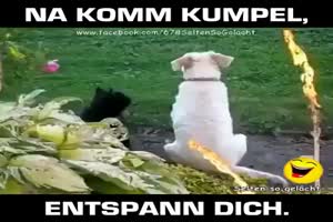 Na komm Kumpel