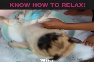 Einfach mal die Seele baumeln lassen