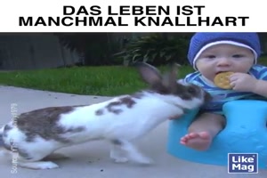 Zack weg ist der Keks