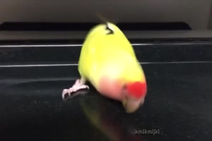 Super Musik