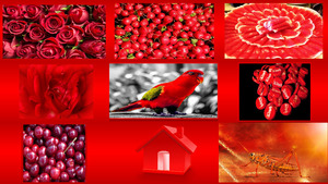 ROT Rot RED RED
