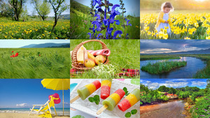 klicke hier, um die Datei herunterzuladen Zomer 16 - Sommer 16