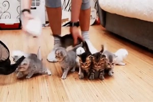 Da wirst du nie fertig