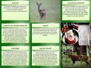 Maibock