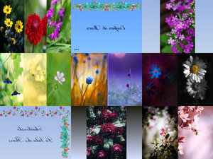Parfum de Fleurs - Blumen Parfm