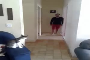 Wie cool ist das denn