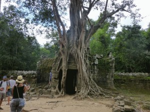 Impressionen aus Kambodscha 4