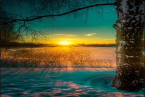 Tolle Bilder mit sch�ner Musik