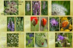Wunderwelt-der-Farben.ppsx auf www.funpot.net