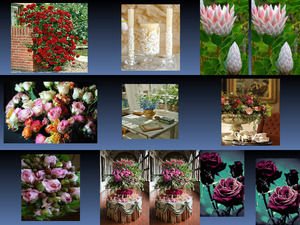 klicke hier, um die Datei herunterzuladen Beautyful Blumen 7
