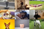 . auf www.funpot.net