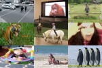 . auf www.funpot.net