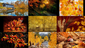 Herbst 22