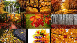 Herbst 23